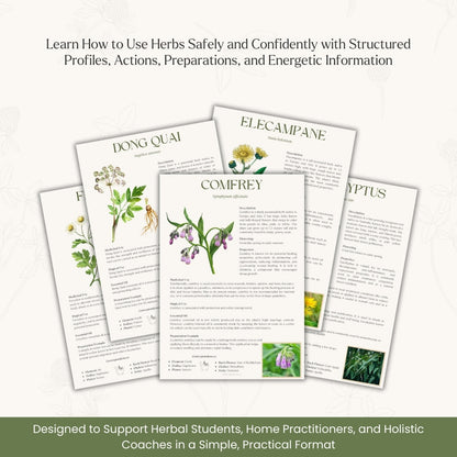 Herbal Healing Handbook – Your Natural Wellness Bible