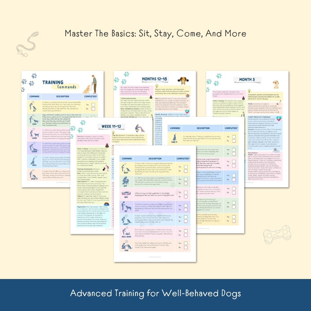 Dog Training Cheat Sheet – Printable Puppy Training Plan & Command Guide