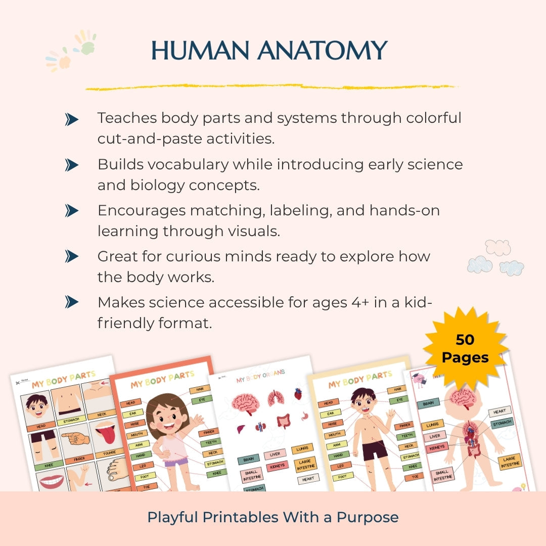 The Complete Kids Educational & Activity Bundle – Boost Reading, STEM & Motor Skills