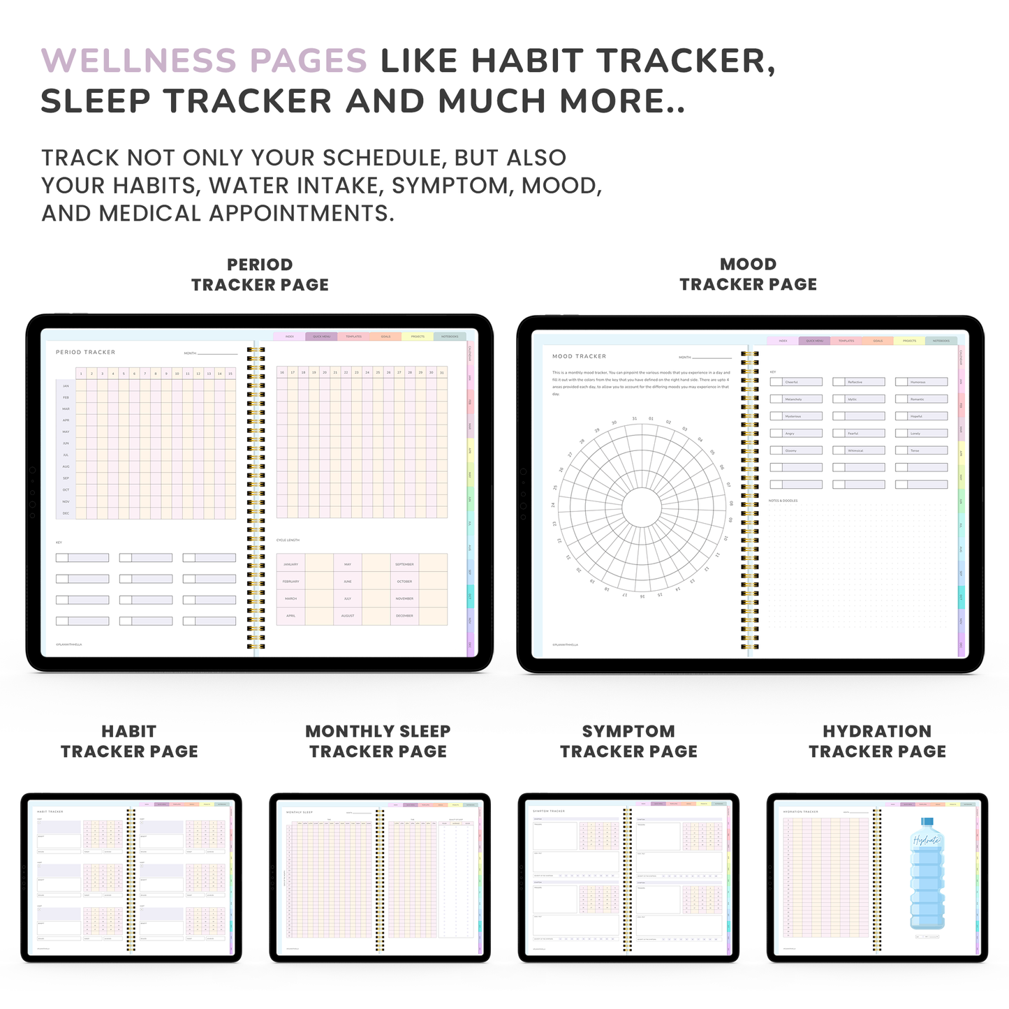 Digital Planner, Goodnotes Planner, iPad Planner, Notability Planner, Dated Digital Planner, 2023 2024 Undated Planner - RAINBOW