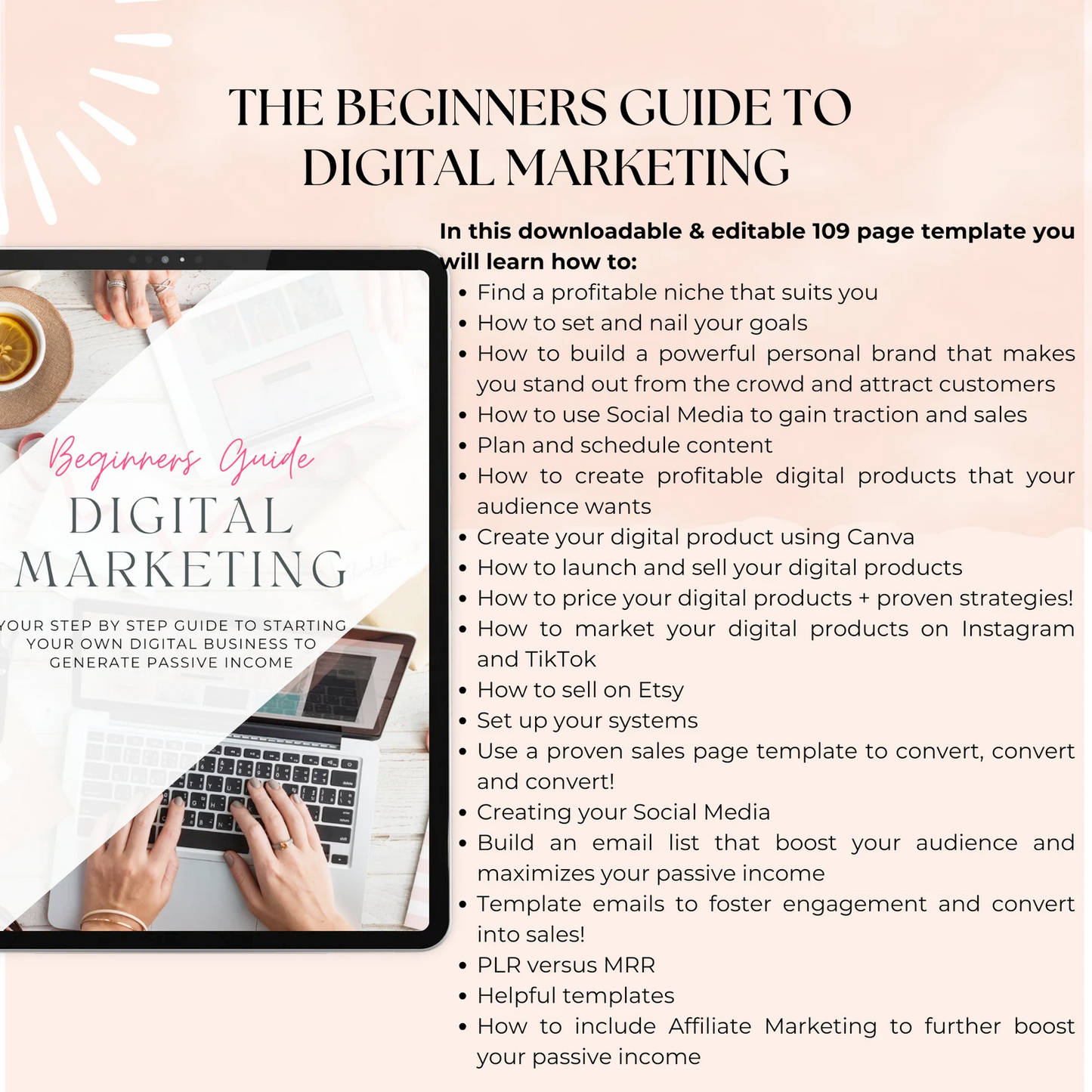 Roadmap To Riches 2.0 Course Master Resell Rights Digital Marketing Business Development Digital Marketing Blueprints Course PLR Course